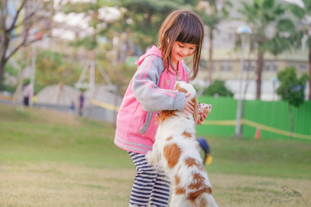 cavalier jumping on little girl