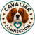Cavalier Connection | Arizona's Finest Home-Based Rescue